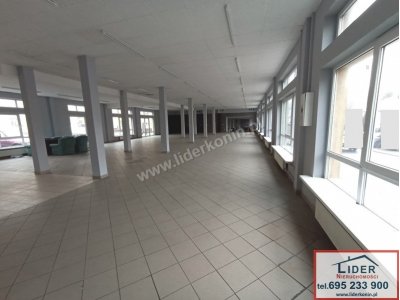 Wynajmę lokale handlowo – usługowe od 70 - 600m2 w Kole