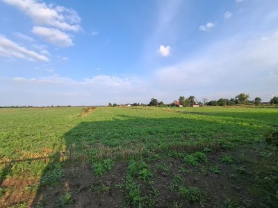 Na sprzedaż dom w Jabłonce, gm. Kleczew – gotowy do zamieszkania