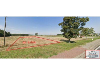 Działka 9,44 a | Kijowiec (gmina Ślesin) | warunki zabudowy | 90 000 zł (DO NEGOCJACJI)