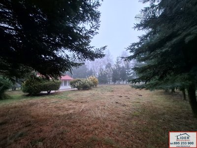 Na sprzedaż działka 13,14 a z domkiem letniskowym - Zygmuntowo gm. Wilczyn