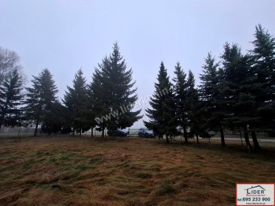 Na sprzedaż działka 13,14 a z domkiem letniskowym - Zygmuntowo gm. Wilczyn