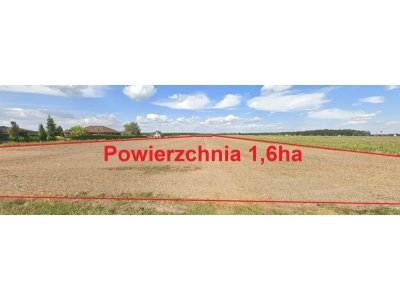 Inwestycyjny Diament pod Koninem! 1,6 ha z MPZP – Gotowiec Deweloperski