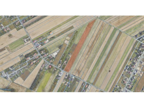 Inwestycyjny Diament pod Koninem! 1,6 ha z MPZP – Gotowiec Deweloperski