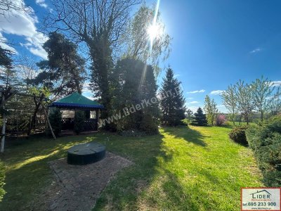 Dom z dużą działką i potencjałem – Żdżary, gm. Stare Miasto