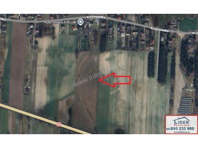 Na sprzedaż 2 działki rolne o łącznej powierzchni 2,51 ha – Krzymów, powiat koniński