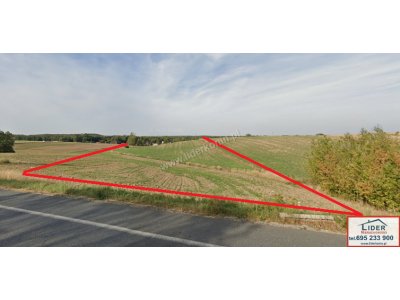 Na sprzedaż 2 działki rolne o łącznej powierzchni 2,51 ha – Krzymów, powiat koniński
