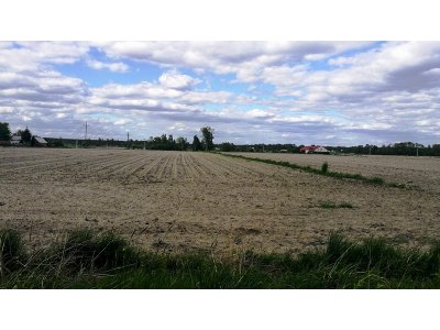 Ostatnie działki budowlane pod lasem! Biała Panieńska | 10a - 16,73a