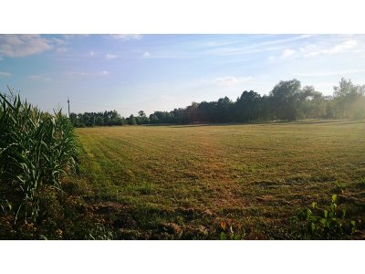 Ostatnie działki budowlane pod lasem! Biała Panieńska | 10a - 16,73a