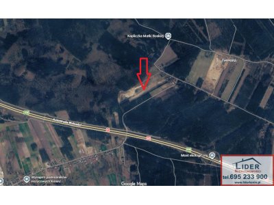 Duży grunt z potencjałem 2,33 ha | Teresina (gm. Stare Miasto) | Blisko węzła A2