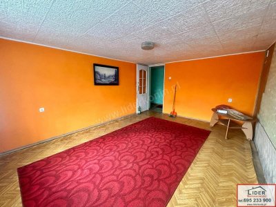 Dom wolnostojący z dużą działką – Wola Podłężna, gm. Kramsk