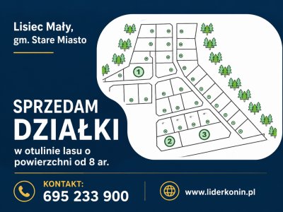 Sprzedam działki budowlane – Lisiec Mały, gm. Stare Miasto
