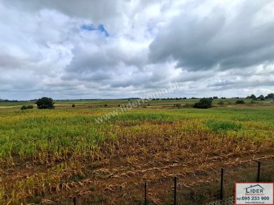 Nowoczesny, przestronny apartament 72 m² z miejscem postojowym – Wola Podłężna (5 km od Konina)