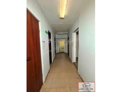 Lokal użytkowy 275 m² | Podziemie / Piwnica | Konin, ul. Wyzwolenia (V Osiedle)