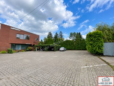 Do wynajęcia lokal usługowo-komercyjny 350 m² – Konin, ul. 3 Maja, Starówka