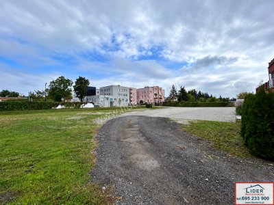 Do wynajęcia lokal usługowo-komercyjny 350 m² – Konin, ul. 3 Maja, Starówka