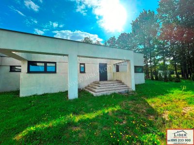 NOWOCZESNY DOM ZE STAWEM | 45,99 AR DZIAŁKI | 6 KM OD KONINA