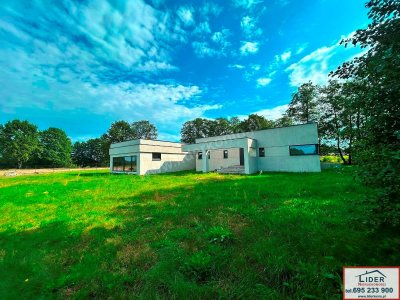 NOWOCZESNY DOM ZE STAWEM | 45,99 AR DZIAŁKI | 6 KM OD KONINA