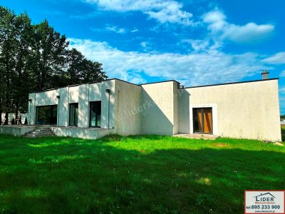 NOWOCZESNY DOM ZE STAWEM | 45,99 AR DZIAŁKI | 6 KM OD KONINA
