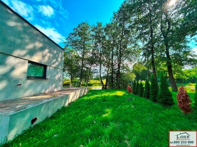 NOWOCZESNY DOM ZE STAWEM | 45,99 AR DZIAŁKI | 6 KM OD KONINA