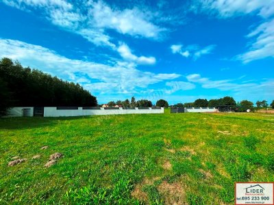 NOWOCZESNY DOM ZE STAWEM | 45,99 AR DZIAŁKI | 6 KM OD KONINA